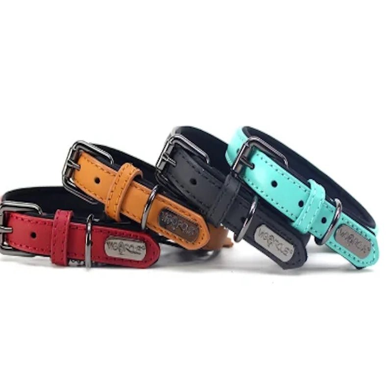 Dog Collar - Homestore Bargains