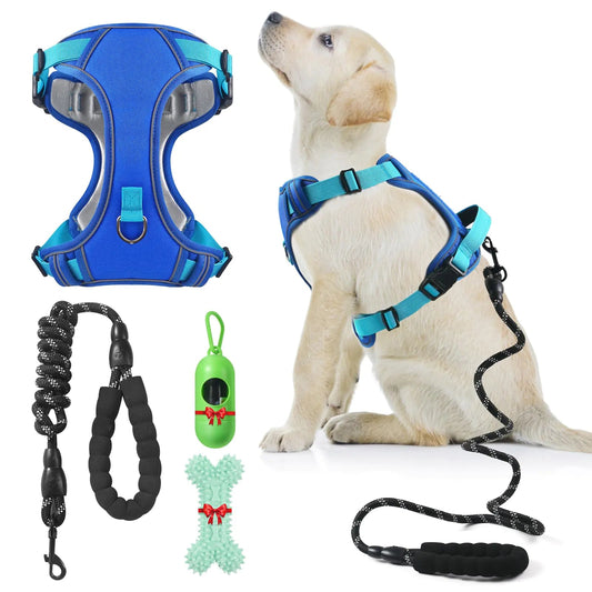 Dog Harness Set - Homestore Bargains