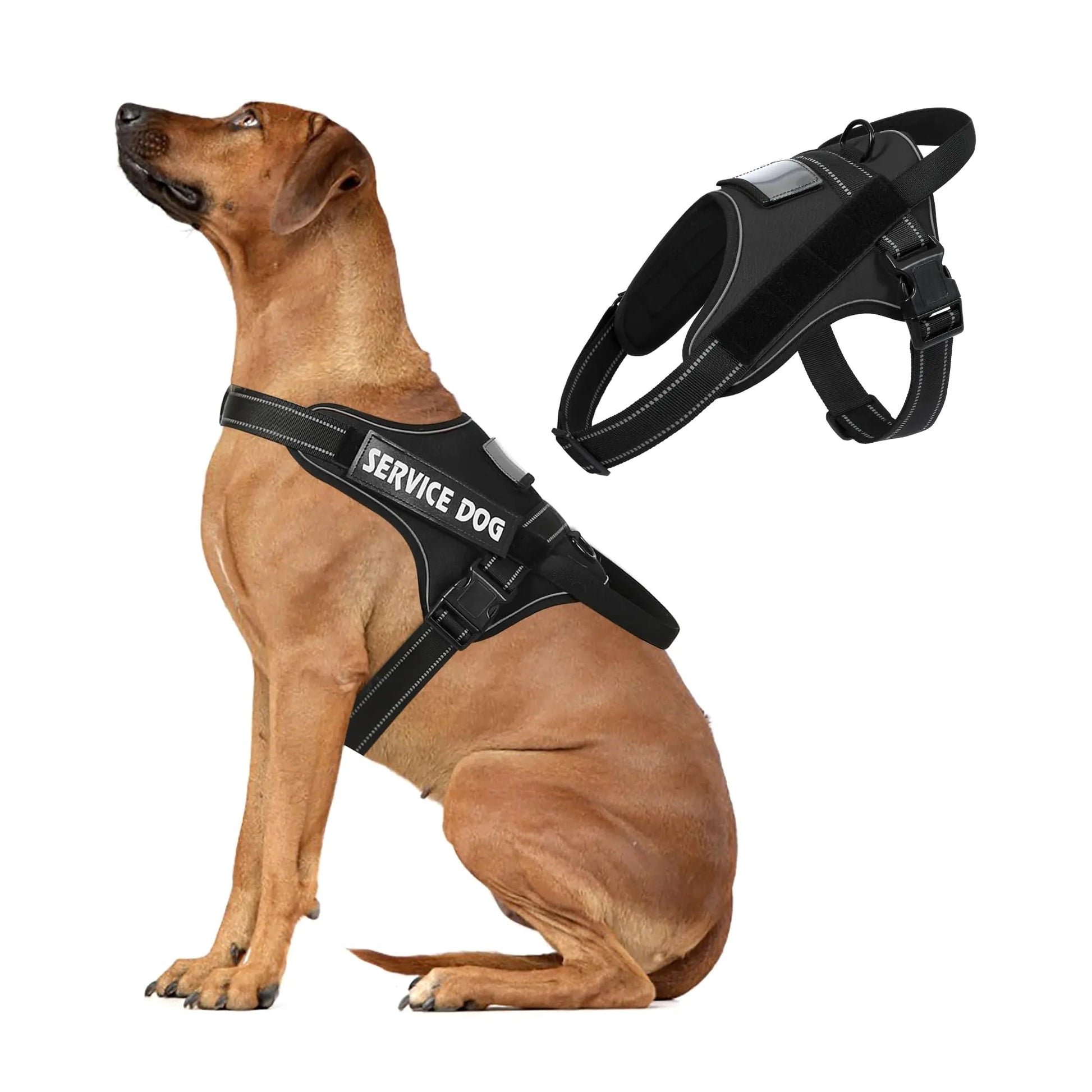 Dog Harness: Voopet - Homestore Bargains