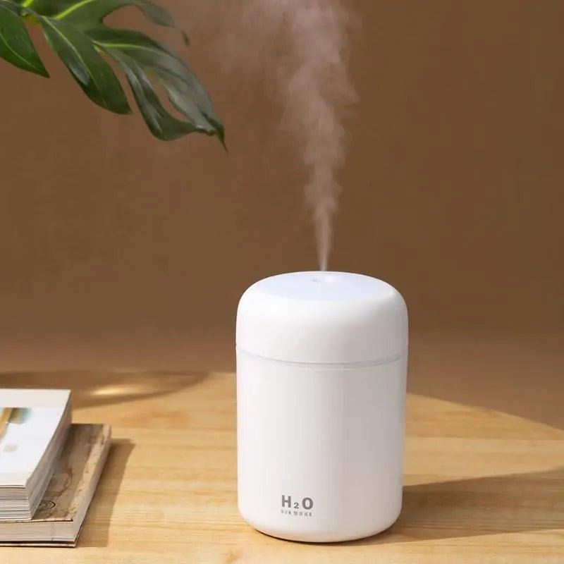 Mini Ultrasonic Humidifier - Homestore Bargains