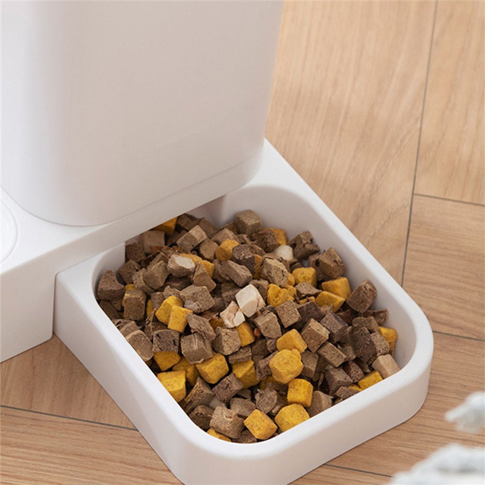 Cat Automatic Feeder - Homestore Bargains