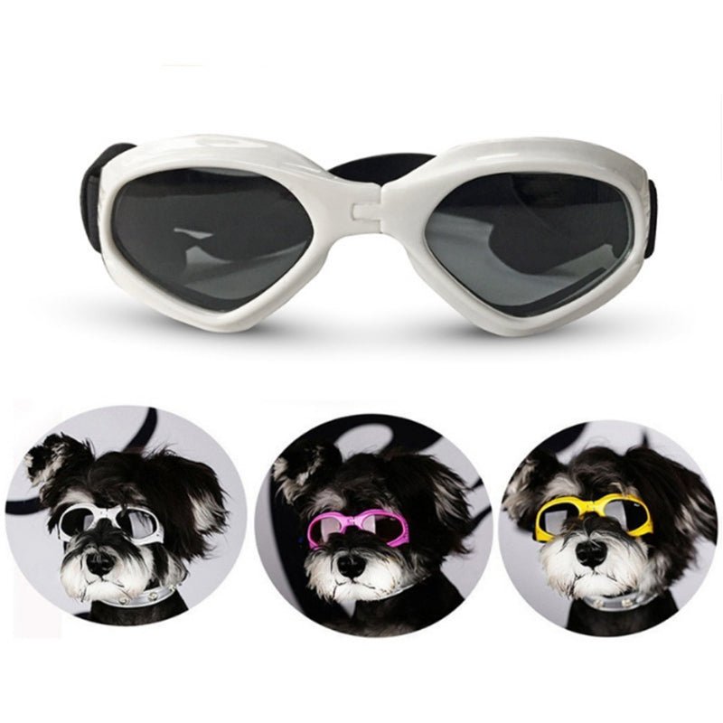 Dog Sunglasses - Homestore Bargains