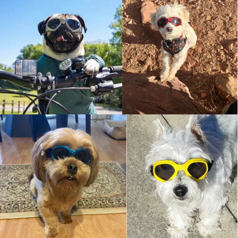 Dog Sunglasses - Homestore Bargains