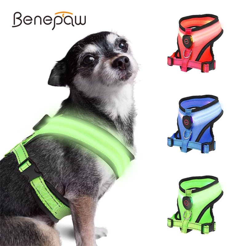 LED Light Dog Harness - Homestore Bargains