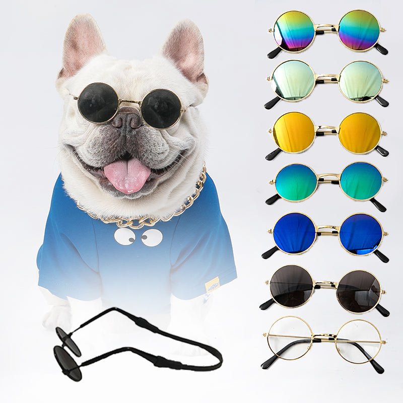Pet Sunglasses - Homestore Bargains