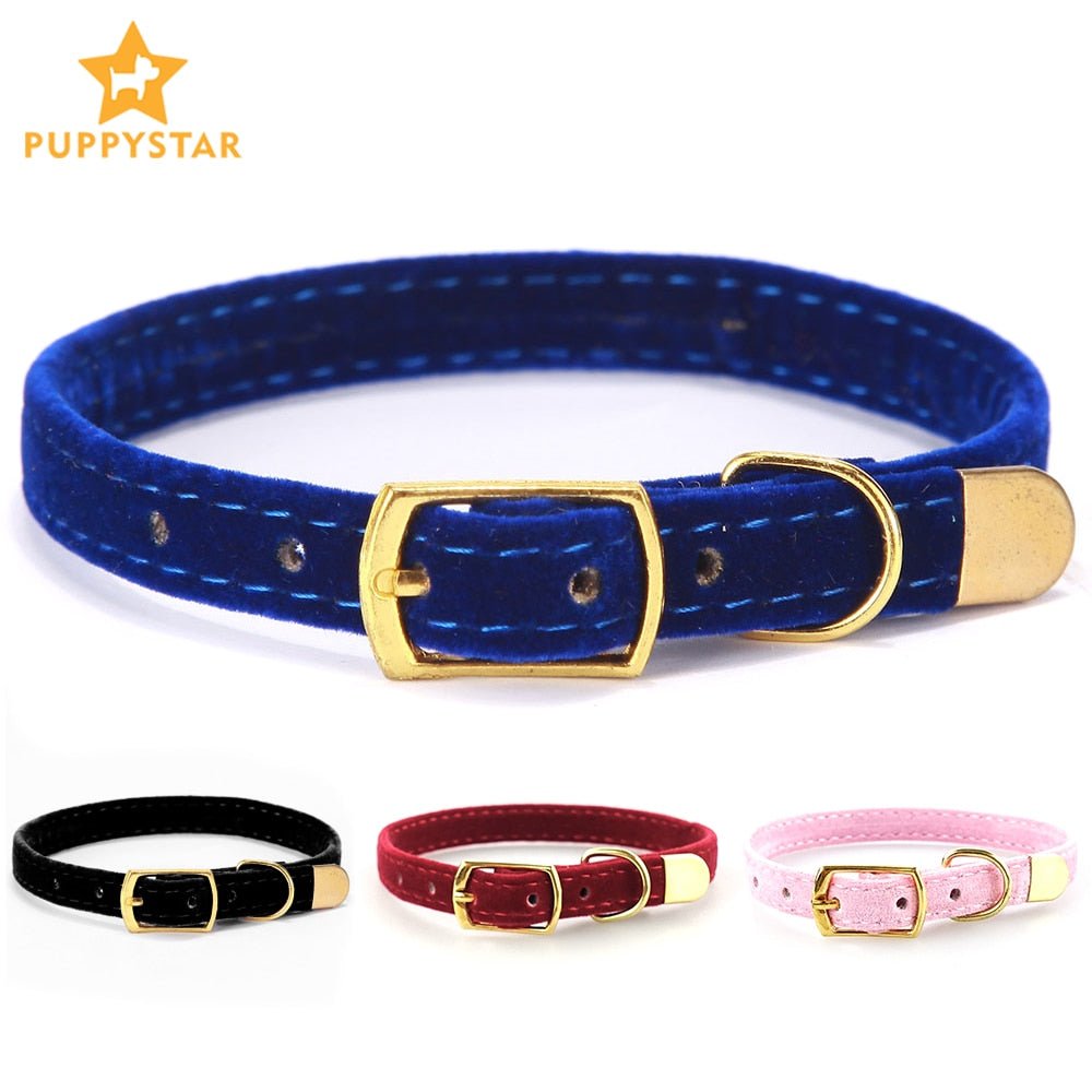 Small Cat Collar - Homestore Bargains