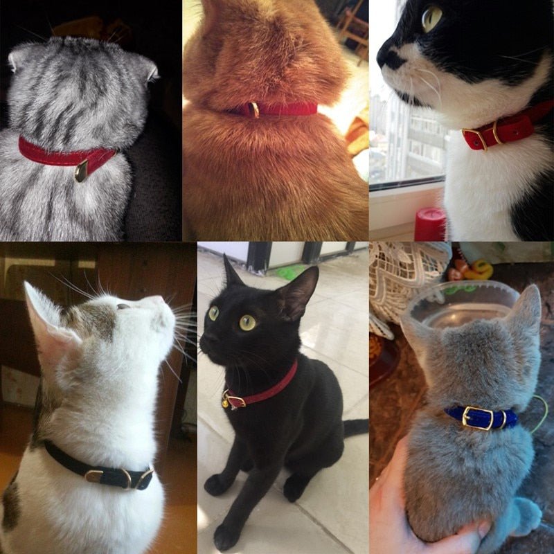 Small Cat Collar - Homestore Bargains