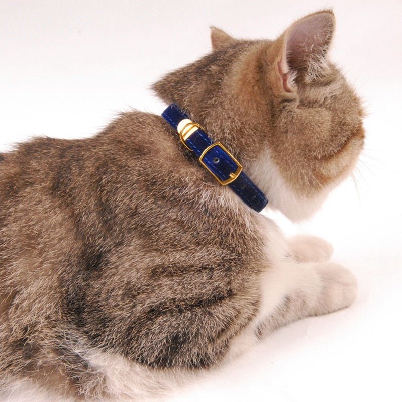 Small Cat Collar - Homestore Bargains