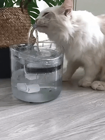 Smart Cat Water Fountain - Homestore Bargains