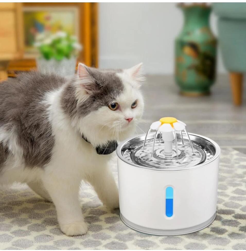 USB Powered Cat Water Fountain - Homestore Bargains