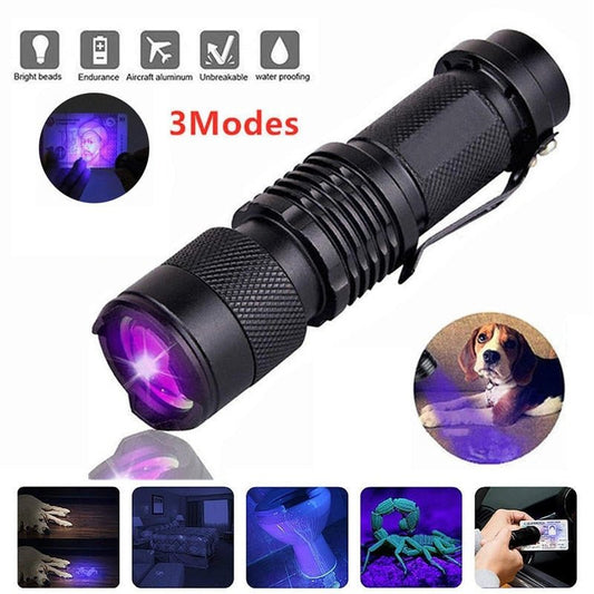 UV LED Flashlight - Homestore Bargains